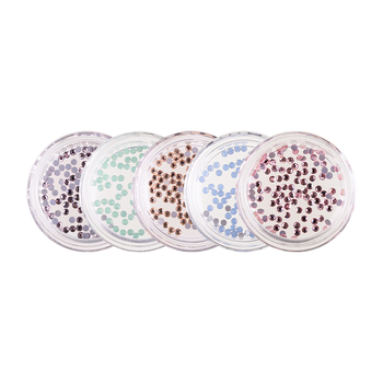 Strasssteine Selection <br>Boho Glam